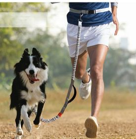 Hands Free Dog Leash for Medium and Large Dogs - Durable Dual Handle Waist Leash with Reflective Bungee for Running; Walking; Training; Hiking (Colour: Blue-4211, Specification (L * W): 2.5*160Cm)